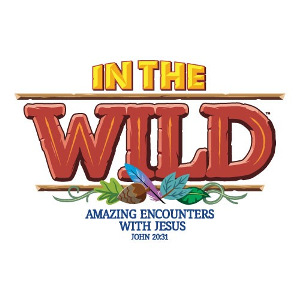 2019 VBS Logo
